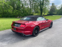 Thumbnail image of 2022 Ford Mustang at SEXTON AUTOMOTIVE OF OAK RIDGE