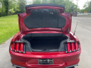 Thumbnail image of 2022 Ford Mustang at SEXTON AUTOMOTIVE OF OAK RIDGE