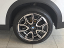 Thumbnail image of 2025 BMW X2 at Bert Smith BMW