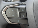 Thumbnail image of 2024 Lexus RX 350 at Hilton Head Lexus