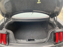 Thumbnail image of 2019 Ford Mustang at Newins Bay Shore Ford