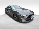 Thumbnail image of 2019 Ford Mustang at Newins Bay Shore Ford