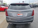 Thumbnail image of 2020 Cadillac XT5 at Ed Martin Budget Car Sales. USED