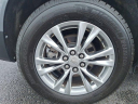 Thumbnail image of 2020 Cadillac XT5 at Ed Martin Budget Car Sales. USED