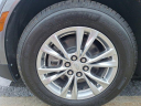Thumbnail image of 2020 Cadillac XT5 at Ed Martin Budget Car Sales. USED