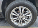 Thumbnail image of 2020 Cadillac XT5 at Ed Martin Budget Car Sales. USED