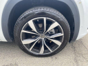 Thumbnail image of 2024 Volkswagen Atlas at PaulMillerBernardsvilleVolkswagen USED