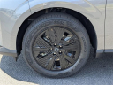 Thumbnail image of 2025 Nissan Murano at Lee Nissan