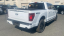 Thumbnail image of 2025 Ford F-150 at New - Salerno Duane Of Summit Ford