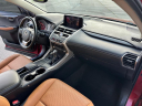 2019 Lexus NX 300 Base at TURNAGE MOTOR CO