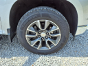 Thumbnail image of 2022 Chevrolet Silverado 1500 at Myers Chrysler Dodge Jeep Ram