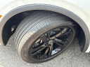 Thumbnail image of 2024 Volkswagen Tiguan at Harry's On The Hill