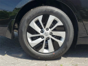 Thumbnail image of 2025 Nissan Altima at Southern 441 Nissan