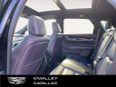 Thumbnail image of 2017 Cadillac XT5 at O'Malley Honda