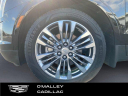 Thumbnail image of 2017 Cadillac XT5 at O'Malley Honda