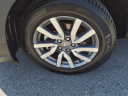 Thumbnail image of 2019 Honda Pilot at Gallatin Honda