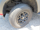 Thumbnail image of 2020 Toyota Tacoma at Sparks Toyota