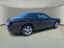 Thumbnail image of 2022 Dodge Challenger at Arrigo Chrysler Dodge Jeep Ram at Sawgrass