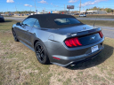 Thumbnail image of 2022 Ford Mustang at Auto Smart