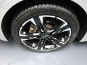 Thumbnail image of 2022 Kia K5 at Plaza Honda