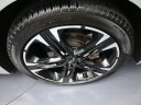Thumbnail image of 2024 Kia K5 at Plaza Honda