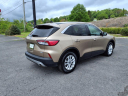Thumbnail image of 2020 Ford Escape at Freedom Ford Pounding Mill