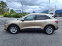 Thumbnail image of 2020 Ford Escape at Freedom Ford Pounding Mill