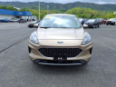 Thumbnail image of 2020 Ford Escape at Freedom Ford Pounding Mill