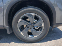 Thumbnail image of 2025 Nissan Rogue at Wesley Chapel Nissan