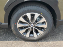 Thumbnail image of 2025 Subaru Outback at LaFontaine Subaru