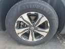 Thumbnail image of 2019 Honda CR-V at Hamilton Honda