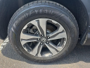Thumbnail image of 2019 Honda CR-V at Hamilton Honda