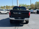 Thumbnail image of 2024 Ford F-150 at George Coleman Ford