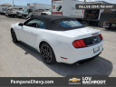 Thumbnail image of 2023 Ford Mustang at LouBachrodtChevroletPompanoBeach of Pompano Beach, FL
