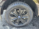 Thumbnail image of 2020 Ford F-150 at Ford of Kendall