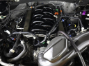 Thumbnail image of 2019 Ford F-150 at Elder Ford of Tampa