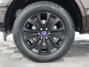 Thumbnail image of 2019 Ford F-150 at Elder Ford of Tampa