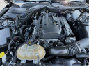 Thumbnail image of 2019 Ford Mustang at Serpentini Chevrolet of Willoughby