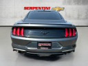 Thumbnail image of 2019 Ford Mustang at Serpentini Chevrolet of Willoughby