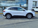 Thumbnail image of 2022 Ford Escape at Wayne County Ford