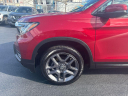 Thumbnail image of 2023 Honda Passport at City World Hyundai