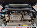 Thumbnail image of 2023 Volkswagen Tiguan at Elite Import Group