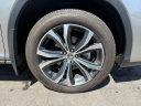 Thumbnail image of 2022 Lexus RX 350 at Northtown Lexus