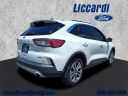 Thumbnail image of 2022 Ford Escape at Liccardi Ford Lincoln