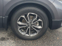 Thumbnail image of 2021 Honda CR-V at Jenkins Honda of Leesburg Used