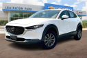 Thumbnail image of 2021 Mazda CX-30 at LeonardTownChevy - USED