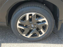 Thumbnail image of 2025 Subaru Forester at LaFontaine Subaru