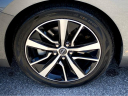 Thumbnail image of 2023 Nissan Maxima at Vaden Nissan of Hinesville - Used