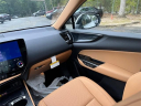 Thumbnail image of 2025 Lexus NX 350h at Lexus of Smithtown
