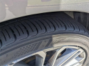 Thumbnail image of 2023 Kia Forte at Lee Nissan
